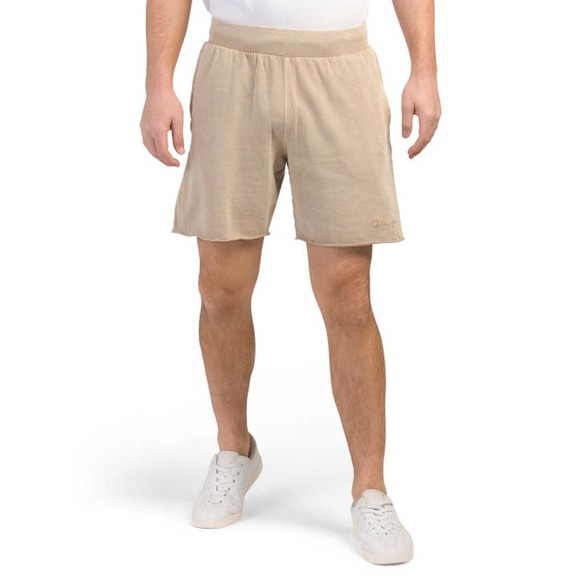 CHAMPION Men's Fleece Shorts Medium Large Lightweight 7” Vintage Dye Lightweight - Picture 4 of 11